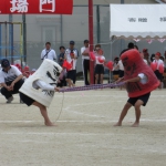 s_IMG_1869.JPG